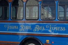 trax-bus-lettering-side
